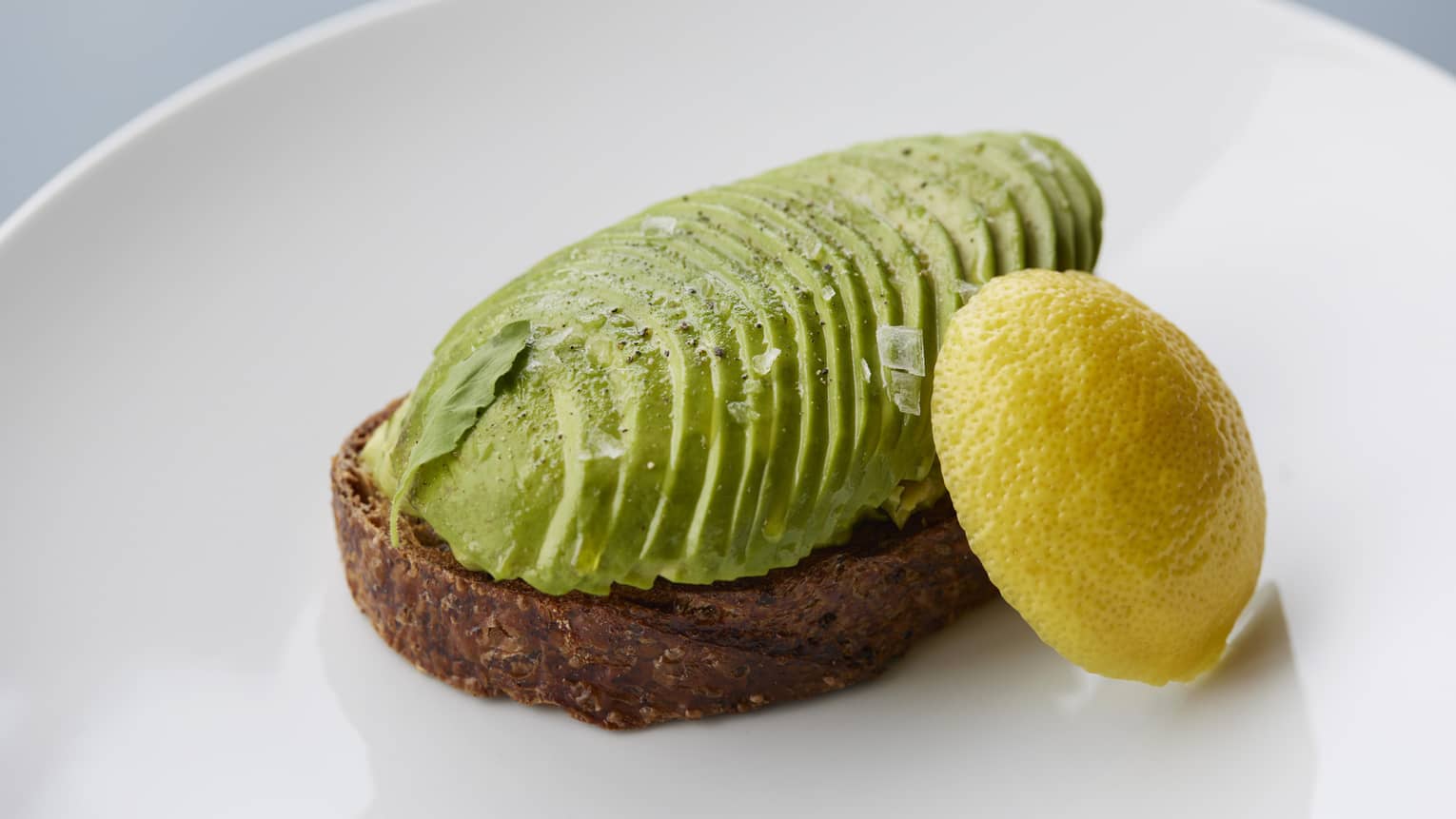 Avocado Toast on SEZANNE Sourdough, lemon cheek garnish on white plate