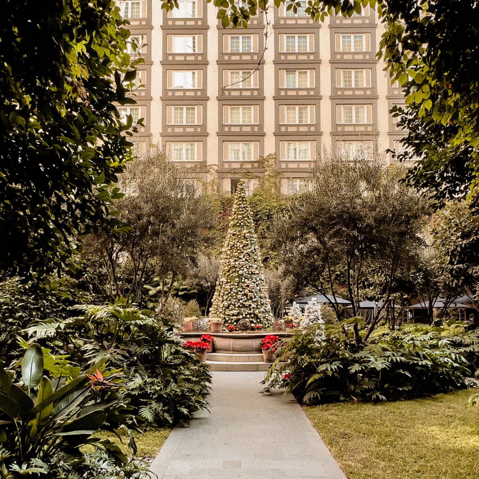 A Christmas tree outside.
