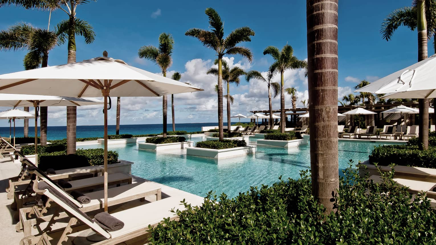 Aleta Pool with white potted palms, surrounded by white patio chairs, umbrellas, ocean views 