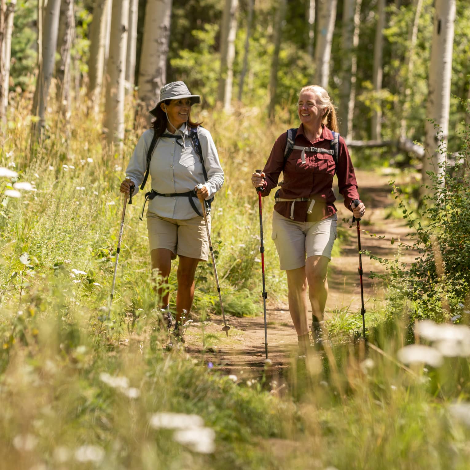 Two smiling hikers with walking poles hike along a sunny path within a golden forest of wildflowers and white-barked trees.