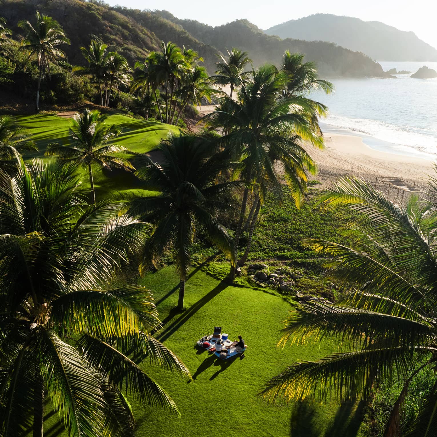 A group of people picnicking on a lush green grassy area close to the beach, surrounded by palm trees. The ocean, beach and hilly shoreline can be seen in the background.