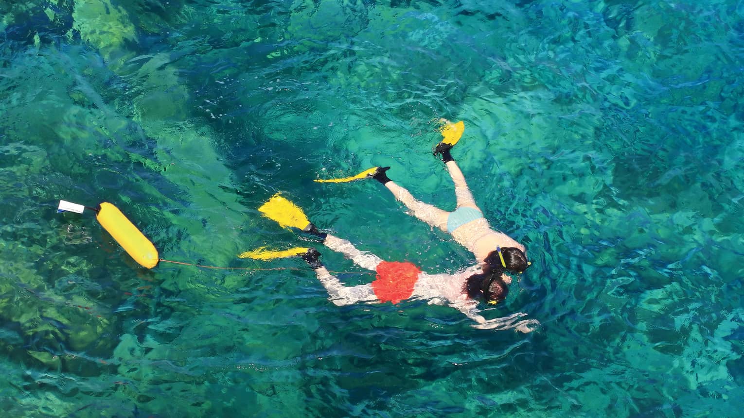 View from above of two guests in flippers snorkelling hand in hand, surrounded by crystal turquoise waters.