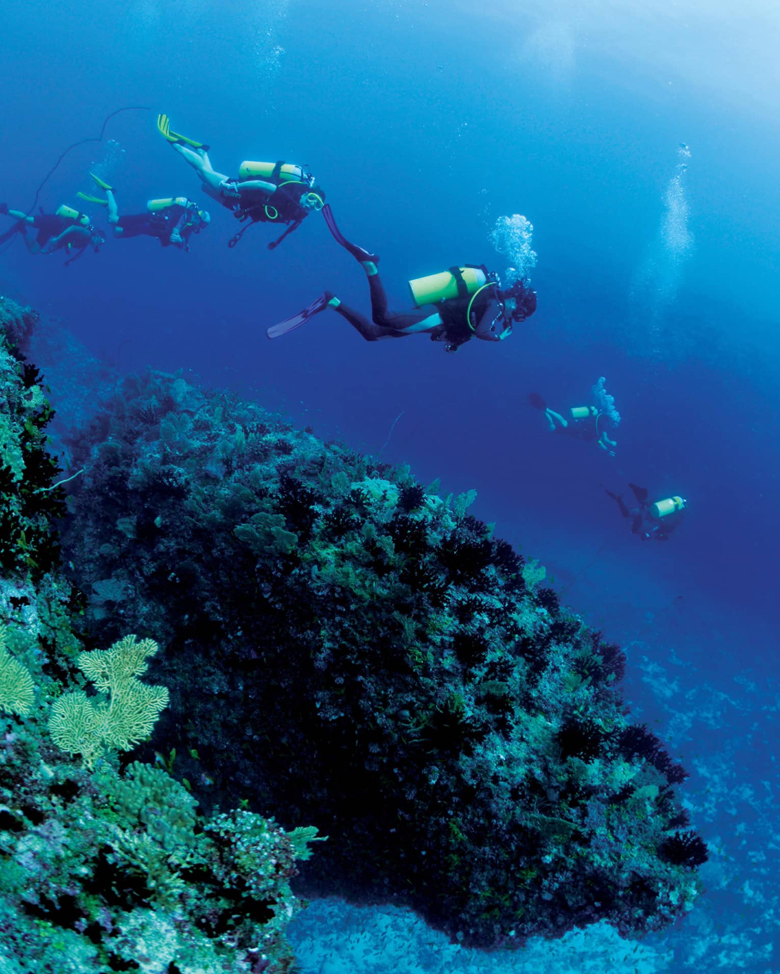 Group of scuba divers explore ocean coral reef underwater
