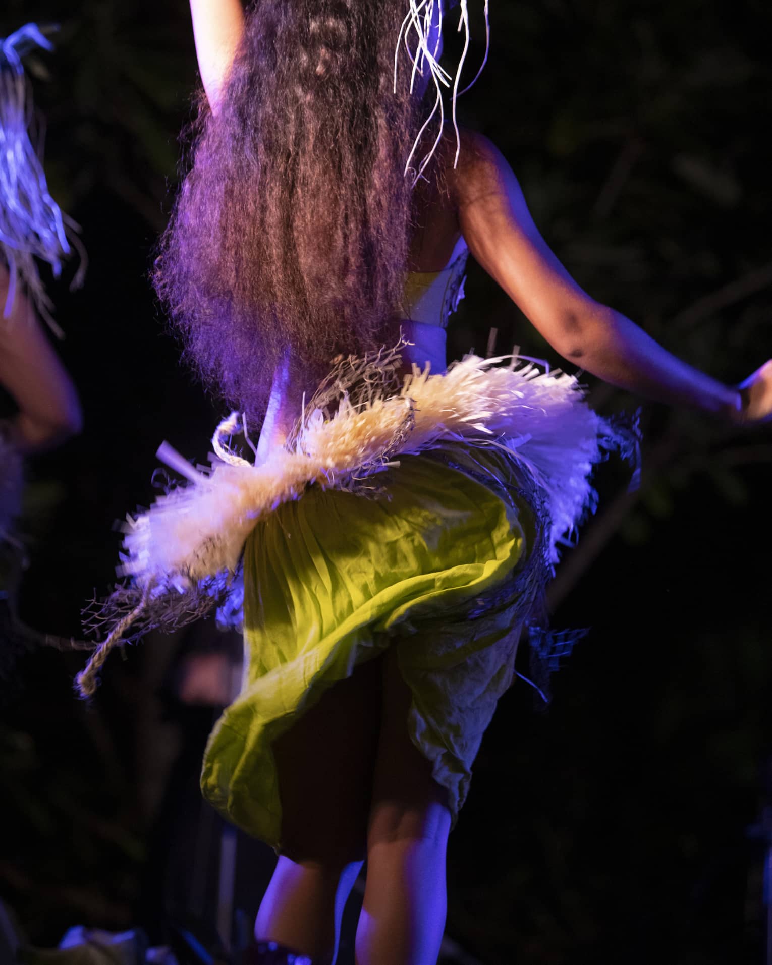 Hawaiian hula dancer