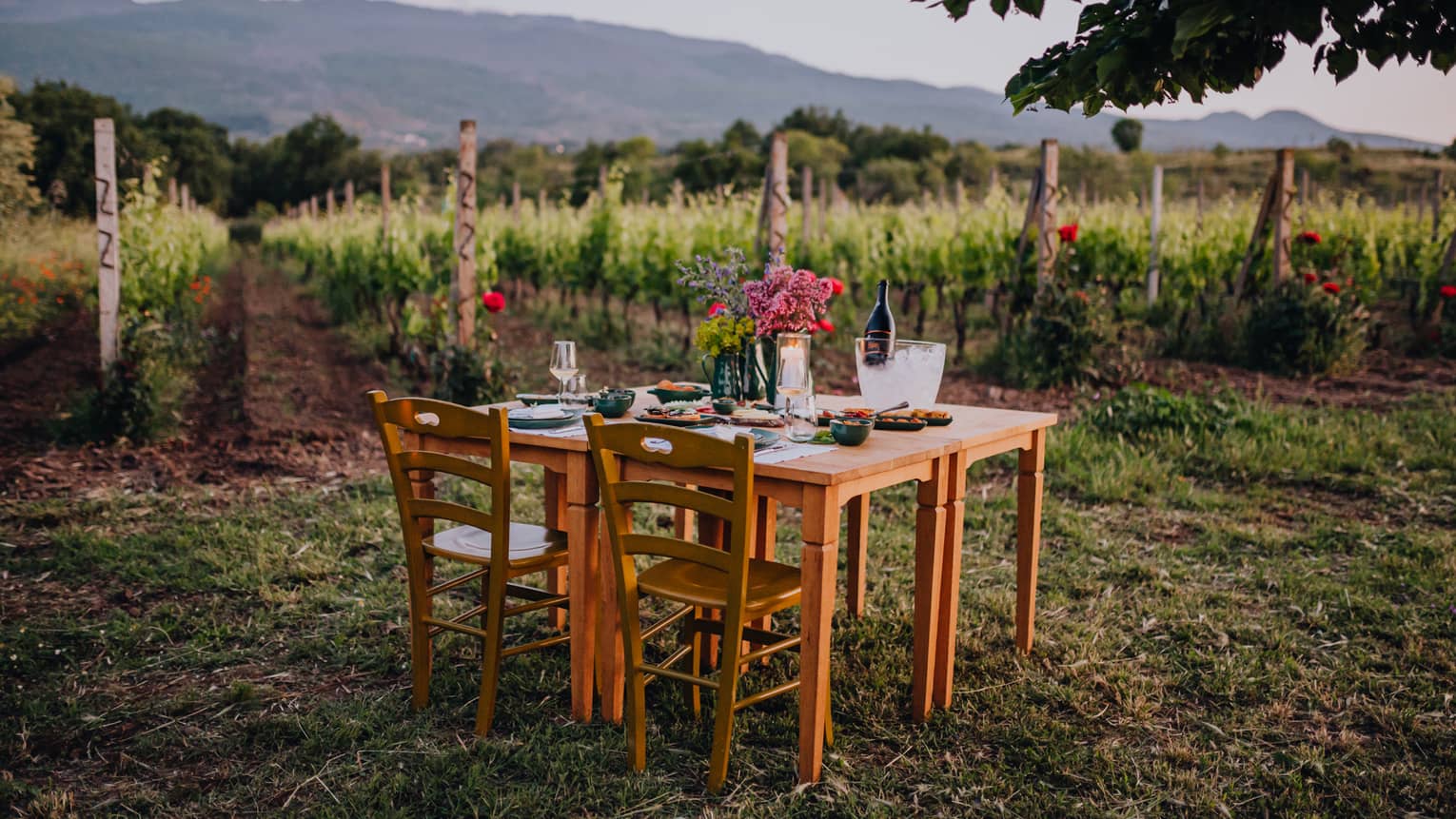 A vineyard table set for two with flowers, wine and glassware, surrounded by rows of grapevines and mountains in the background at sunset.