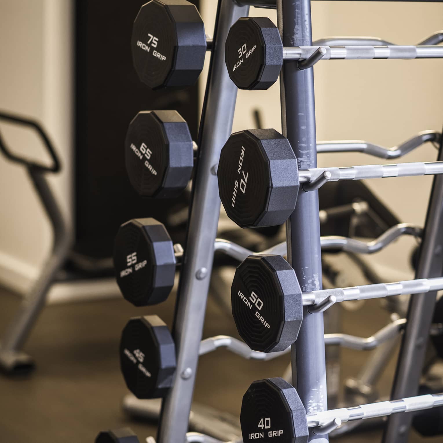 Close-up of a barbell rack holding both standard and curl bars in various fixed weights.