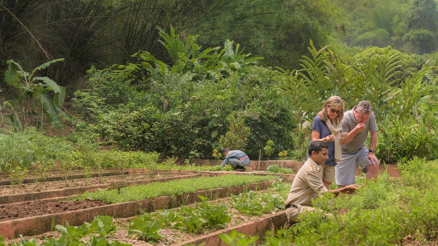 Couple is shown regional herbs, fruits and vegetables by kneeling staff member in lush garden