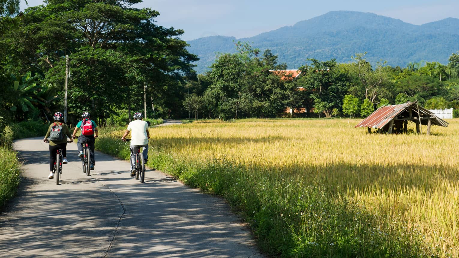 Three cyclists ride down a rural road surrounded by lush greenery and golden fields, with mountains in the background and a small rustic hut to the side.