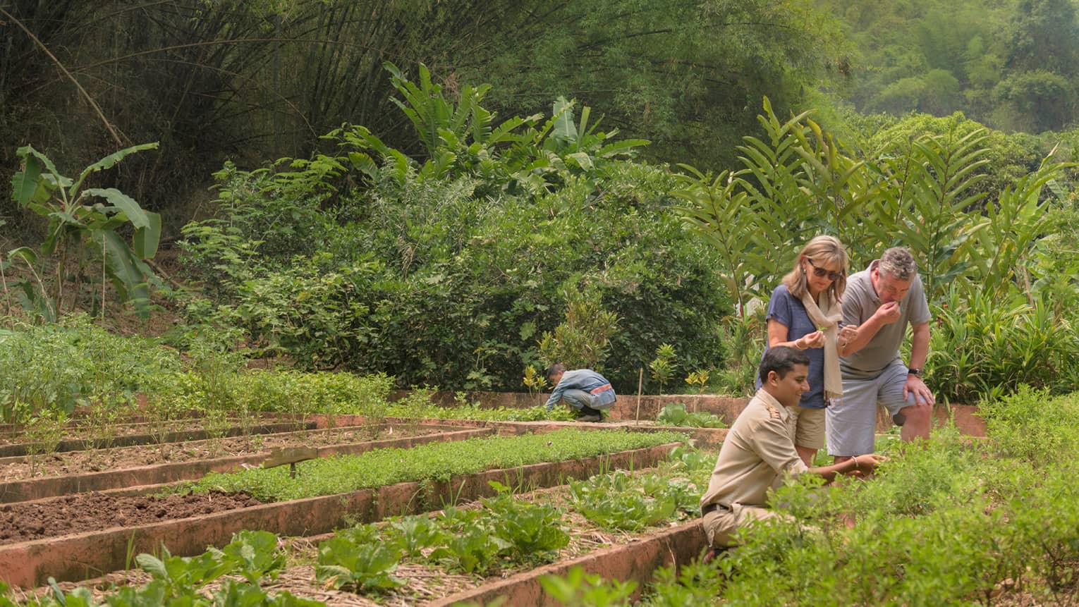 Couple is shown regional herbs, fruits and vegetables by kneeling staff member in lush garden
