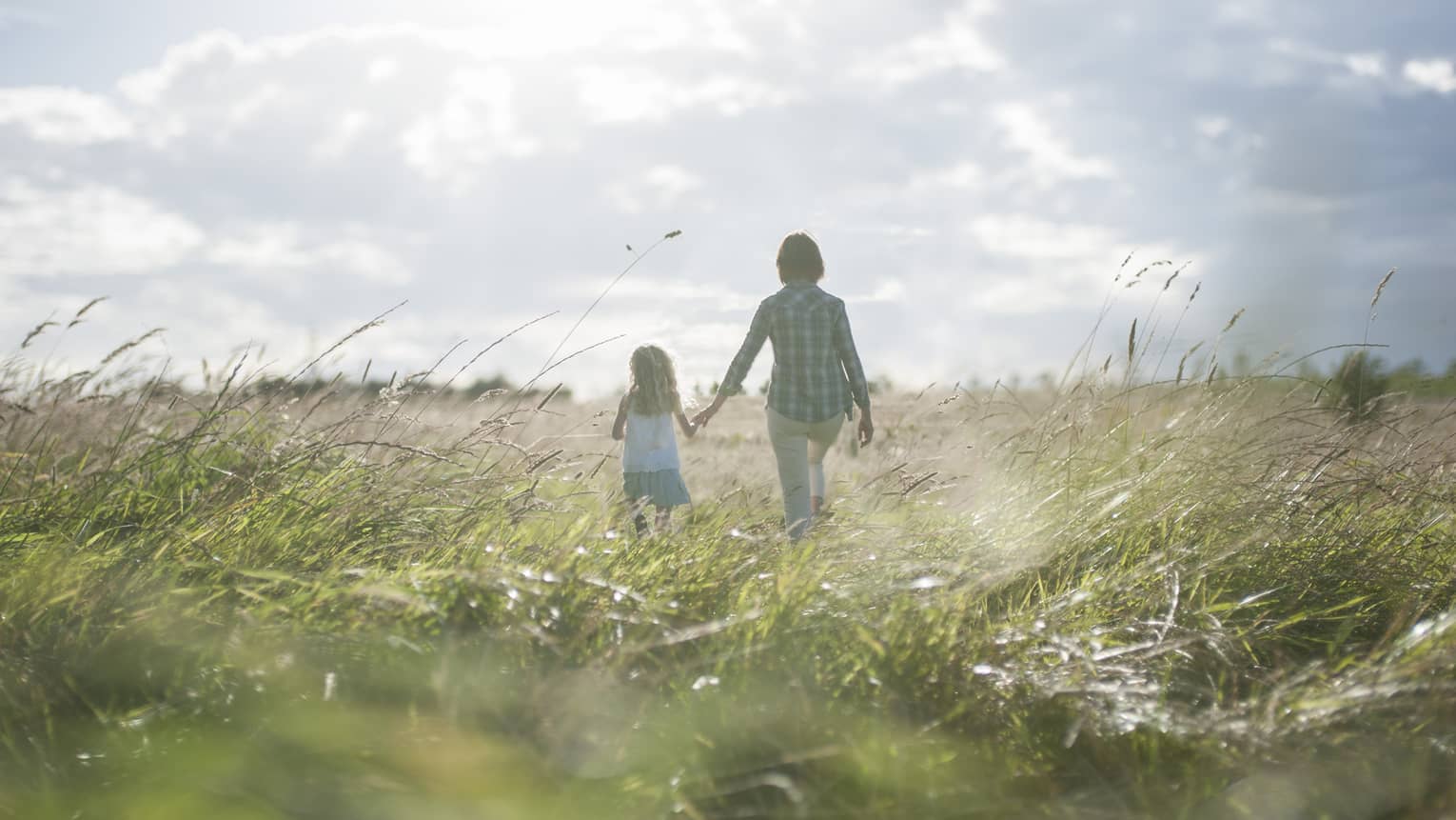Back of mom, daughter holding hands, walking through tall grass in sunny field