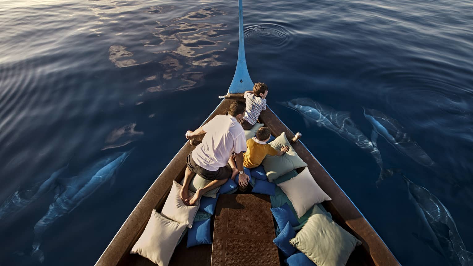 A man and two boys sit in a boat lined with blue and white pillows as dolphins swim around them