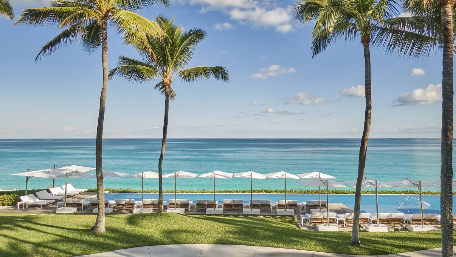 Infinity pool overlooking an ocean with white umbrellas and lounge chairs, framed by tall palm trees on a sunny day