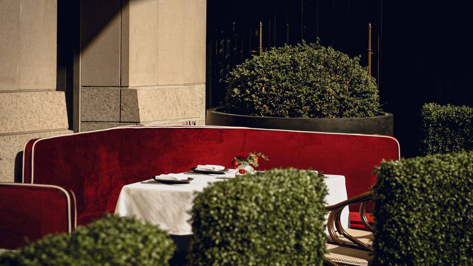 A dining table outside near hedges.