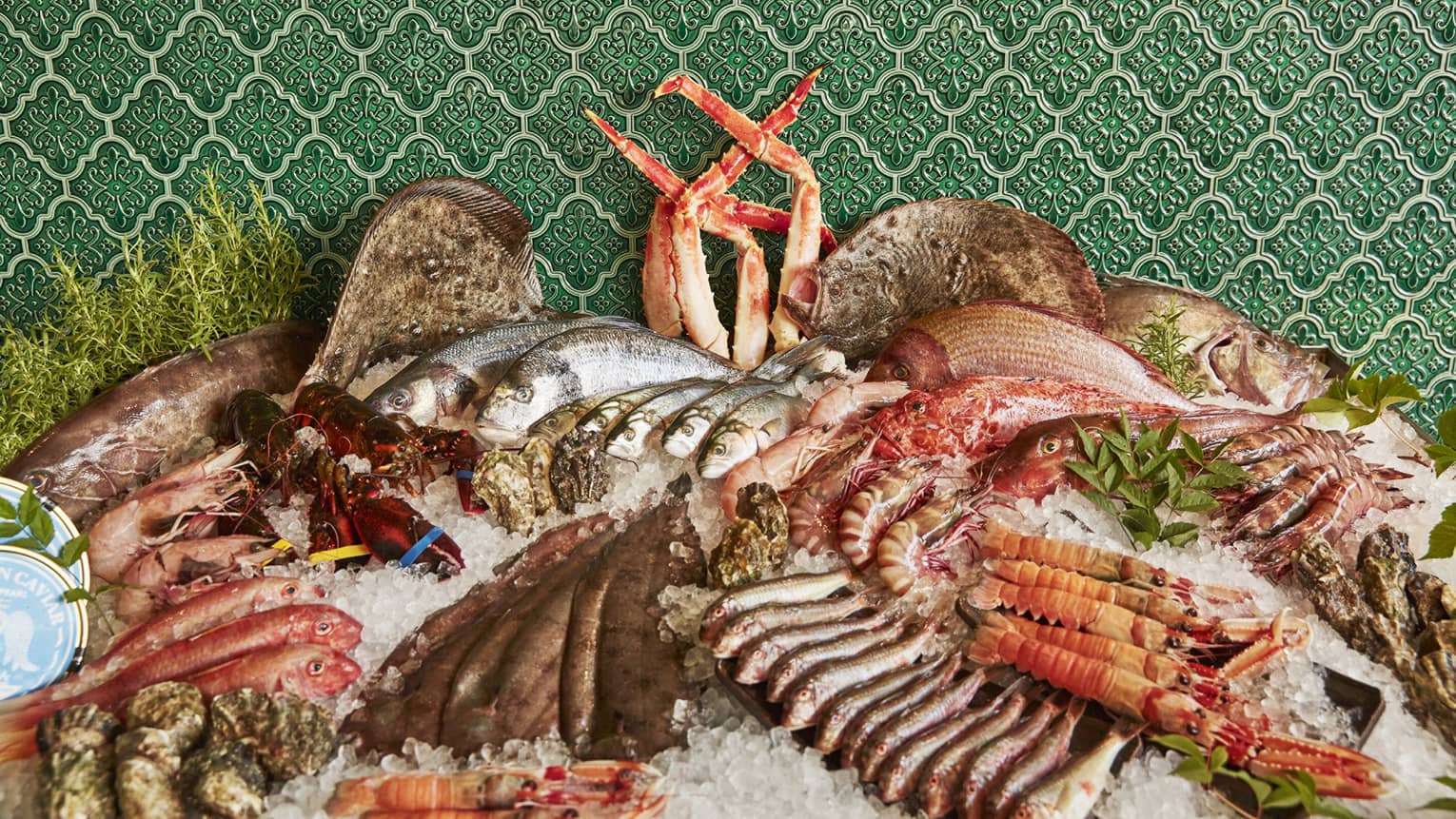 Seafood buffet on ice with green tile wall behind