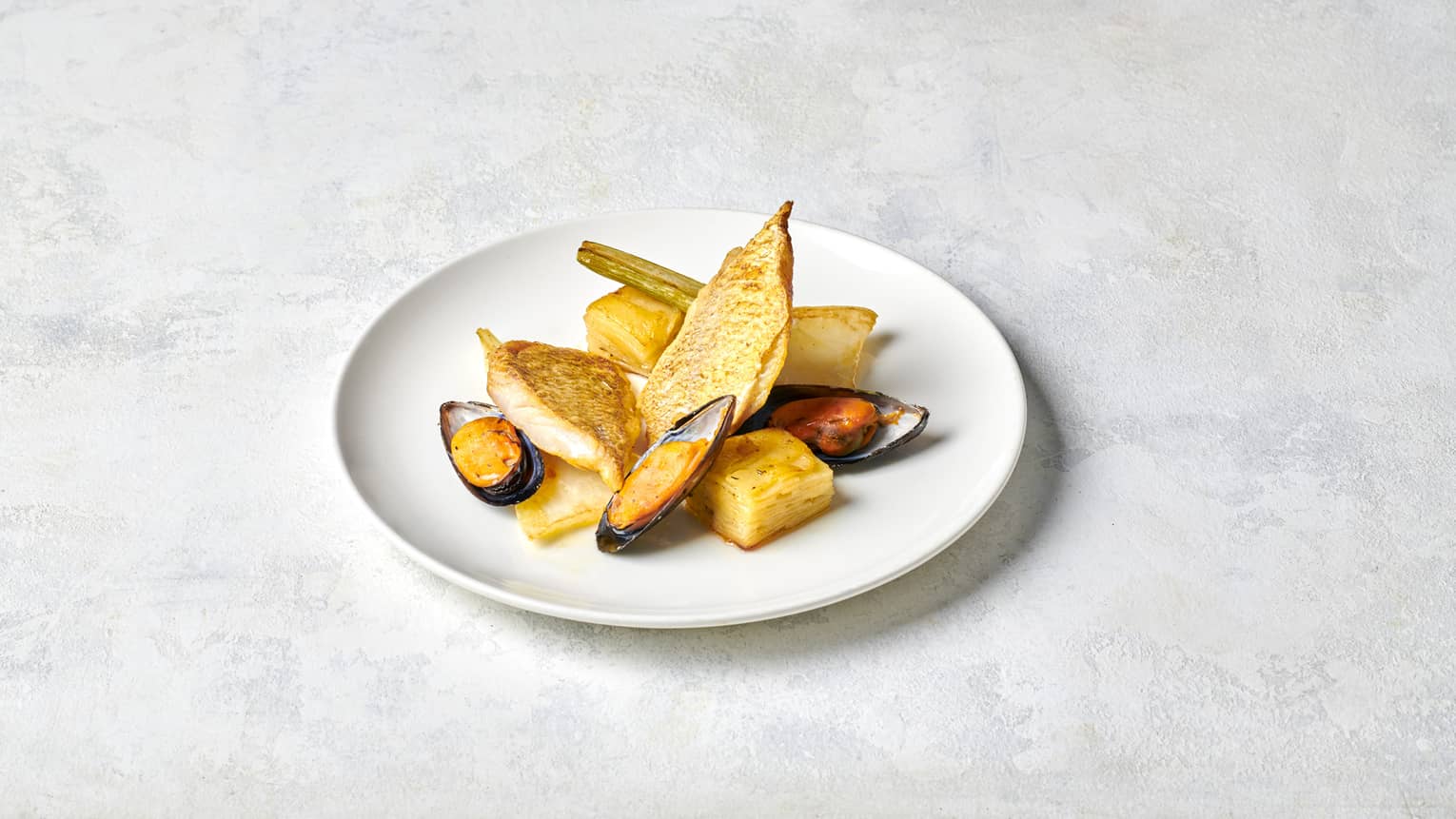 Curried Fillets of Zander Fish, Creamed Mussels, Grilled Fennel, Potato Terrine and Dill Sauce
