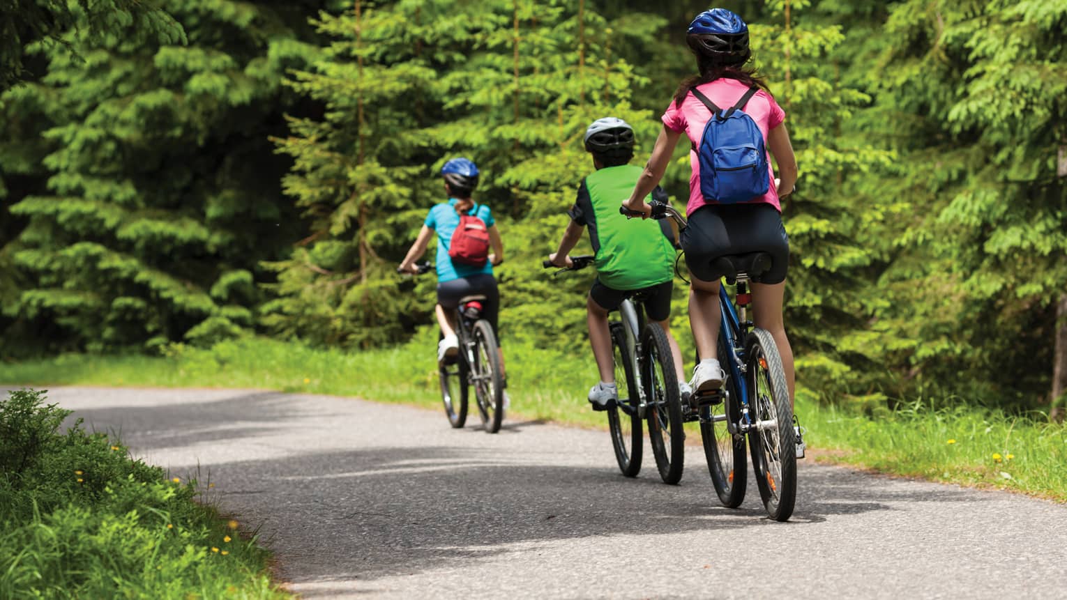Back of three people riding bicycles along forested park path