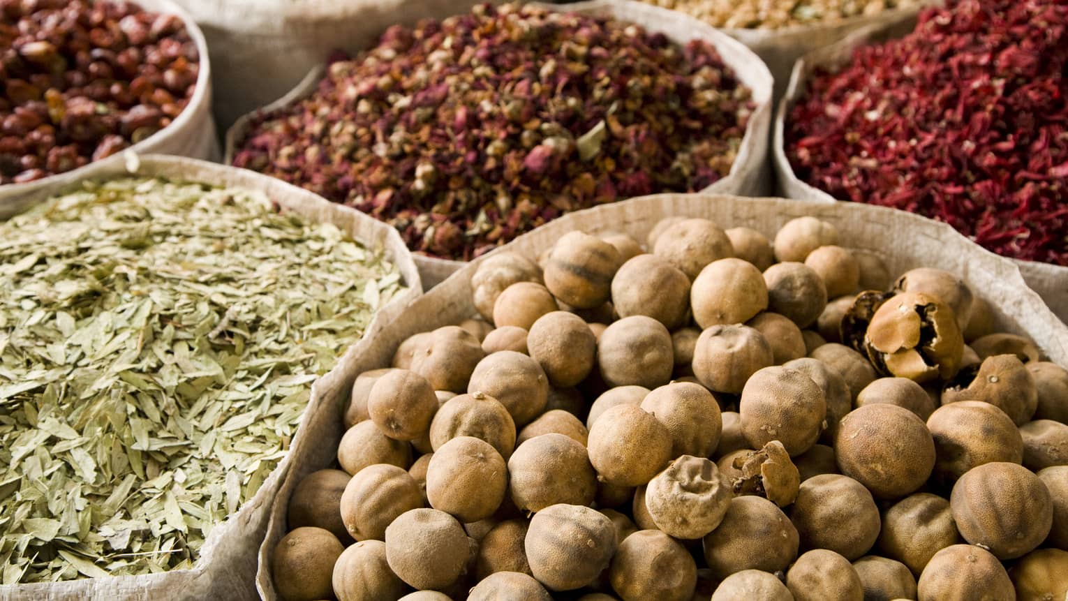 Several bowls filled with nuts, spices and herbs. 