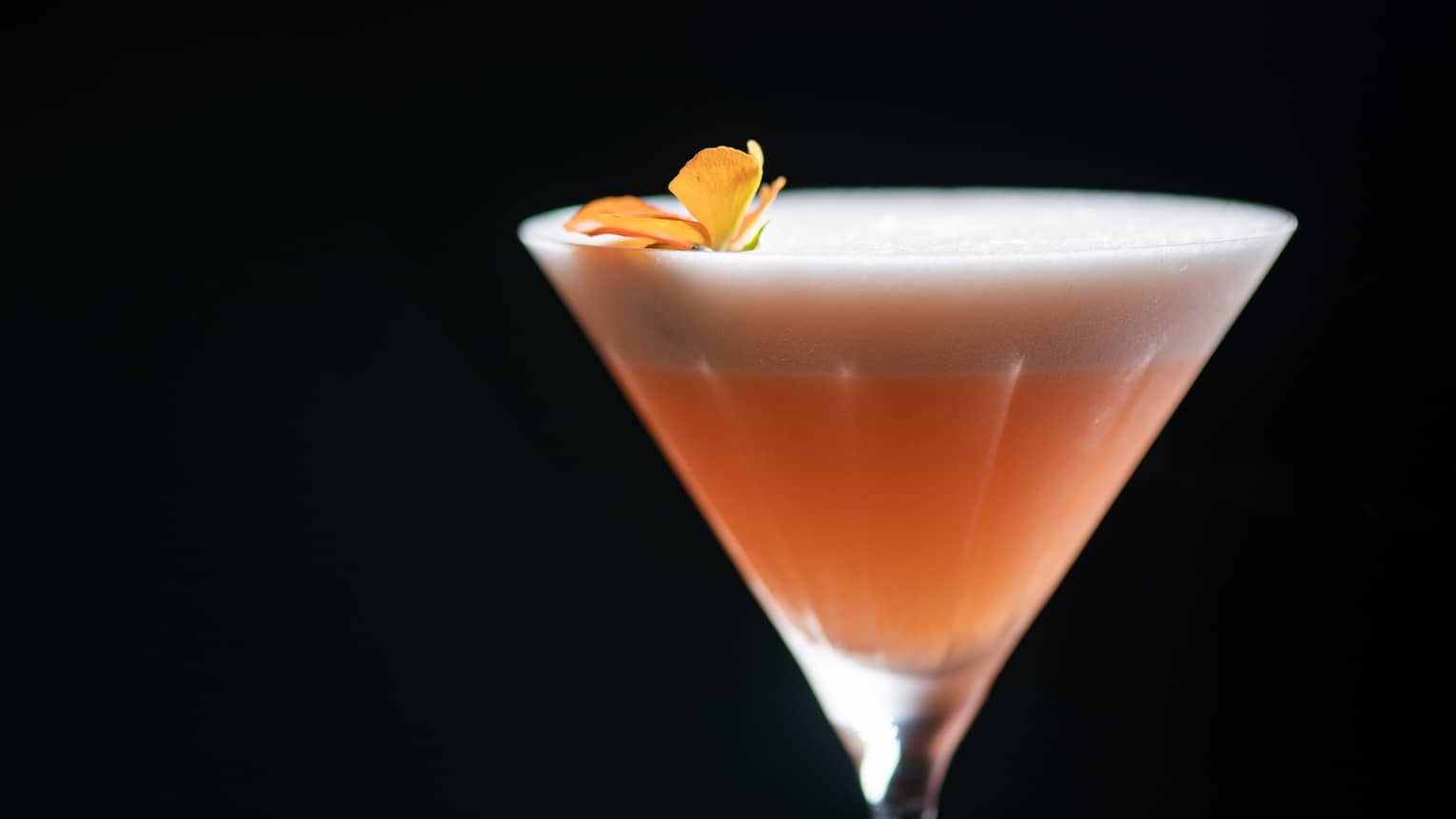 La Isla Pisco in a martini glass