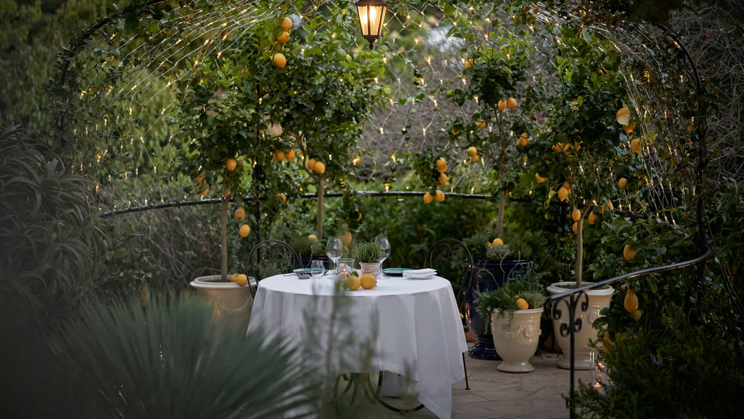 Looking into a secret garden with a table covered in a white cloth placed in the middle of it, orange flowers and green leaves are all around.