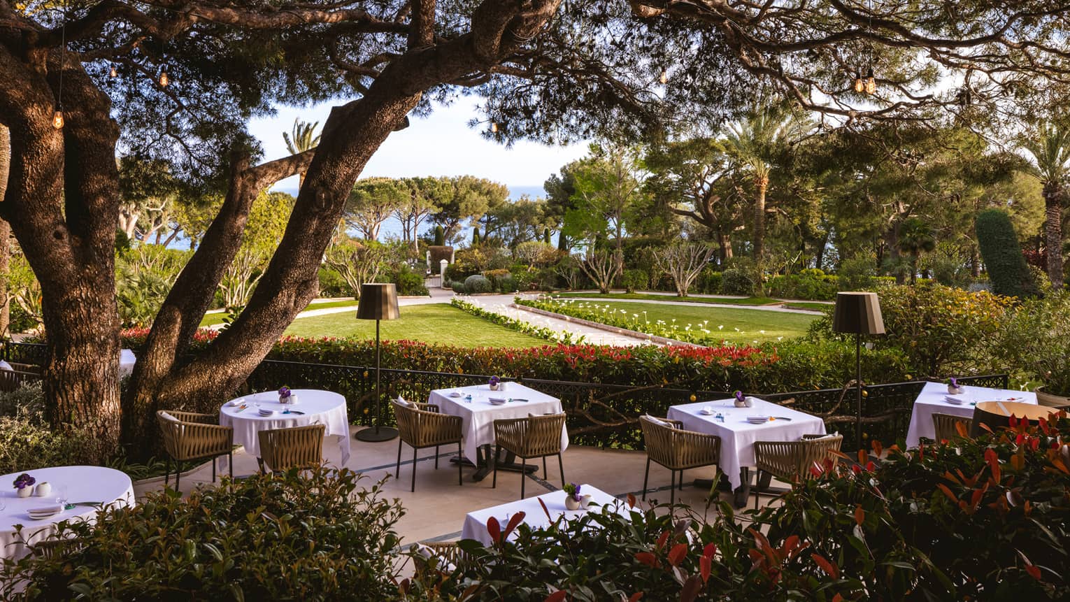 Outdoor fine dining with a garden view