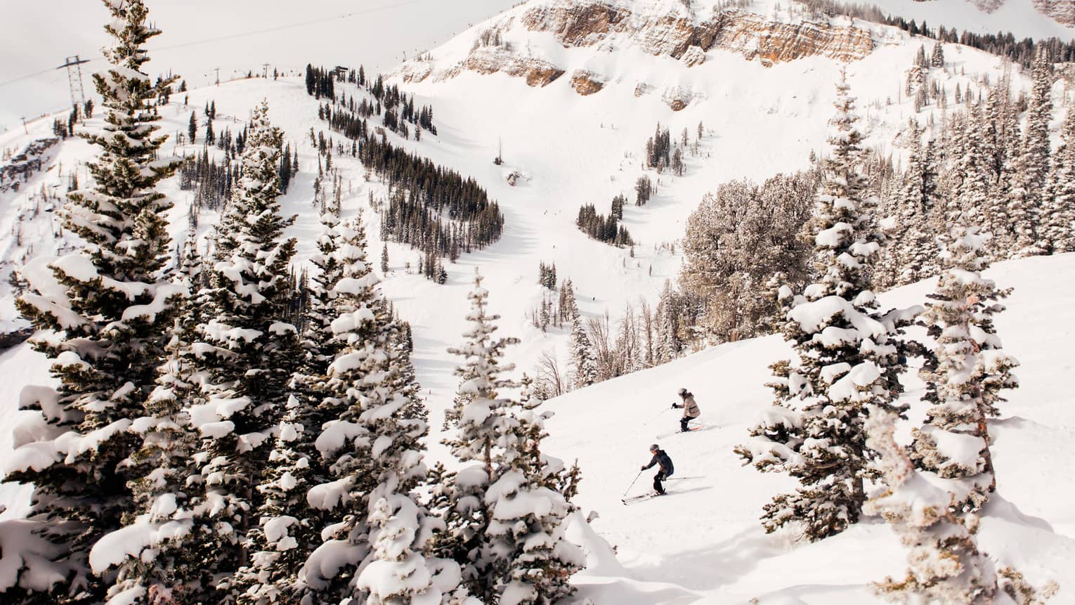 Aerial view of two skiers high up on mountain slope between trees 