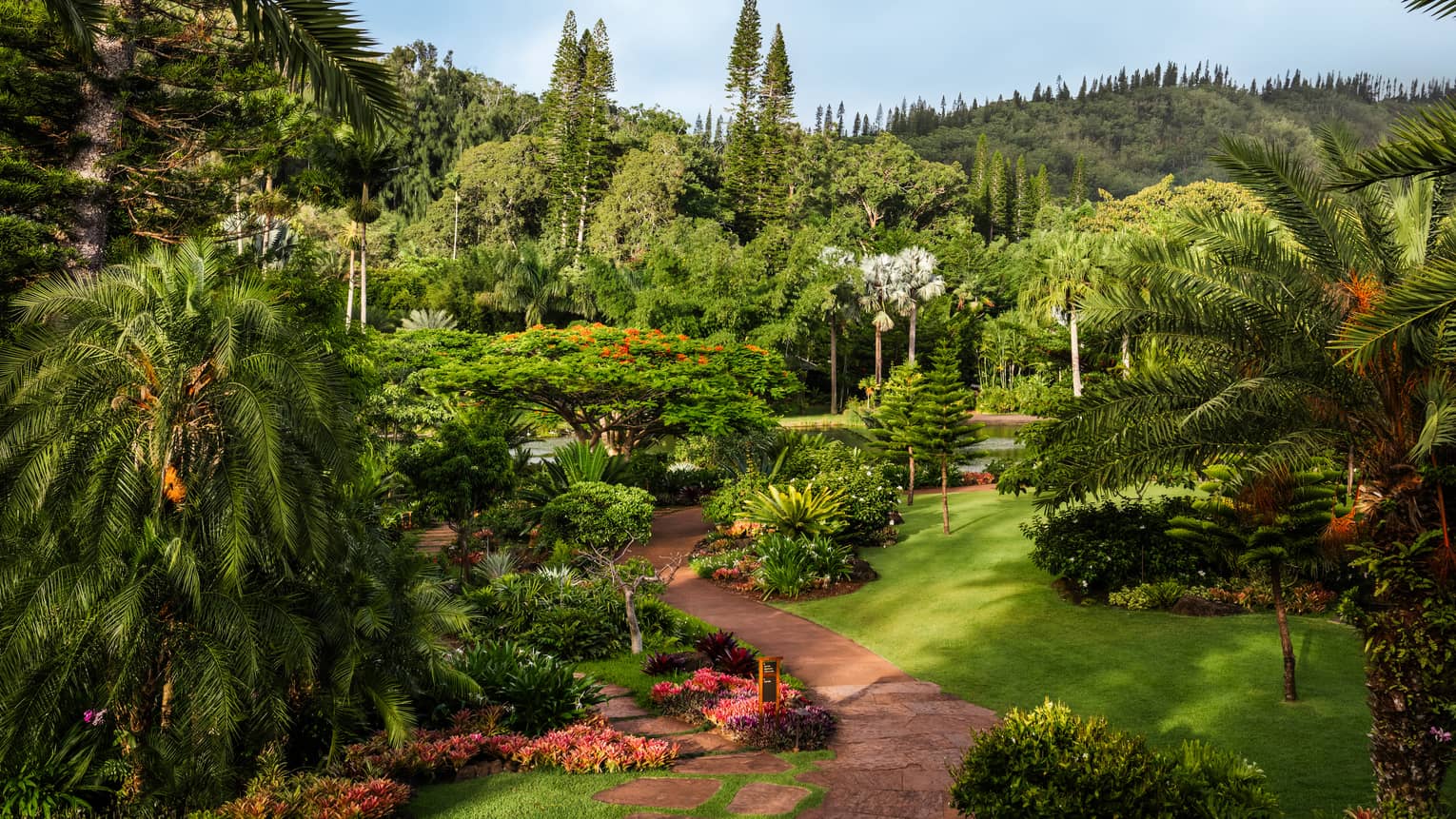 View of lush tropical gardens at resort