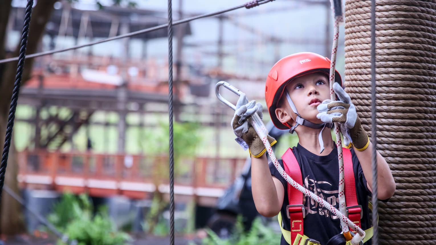 Young boy wearing helmet and harness holds clips and ropes