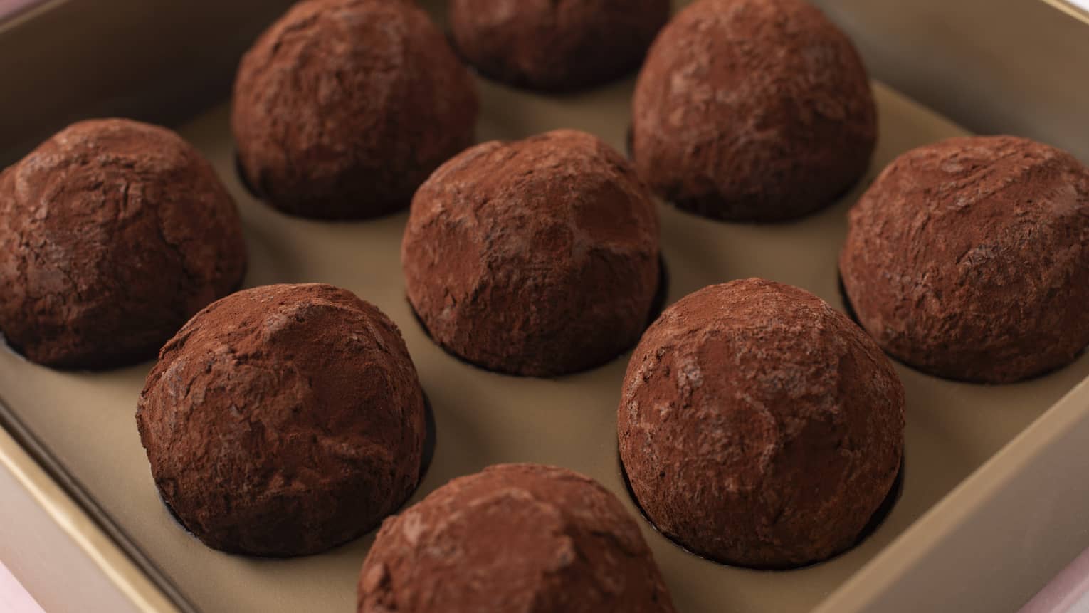 Nine dark chocolate truffles lined up in rows of three