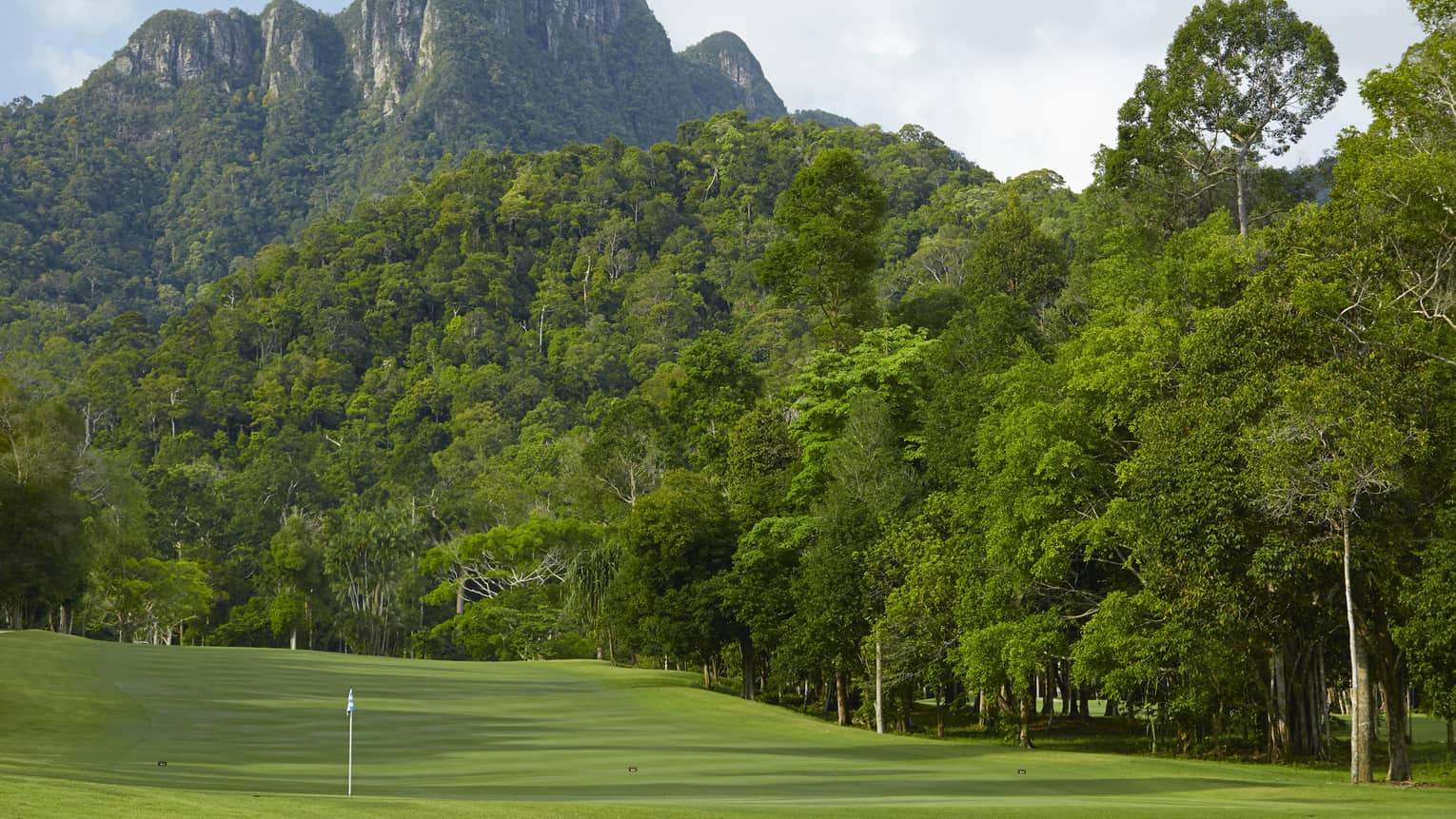 Lush green trees and a mountain surround a well-groomed golf course at The Els Club