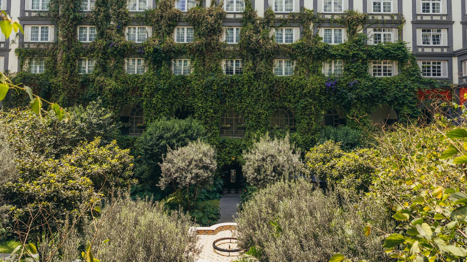 Interior courtyard with dense greenery in the centre and ivy climbing up three floors of the building lined with rows of windows