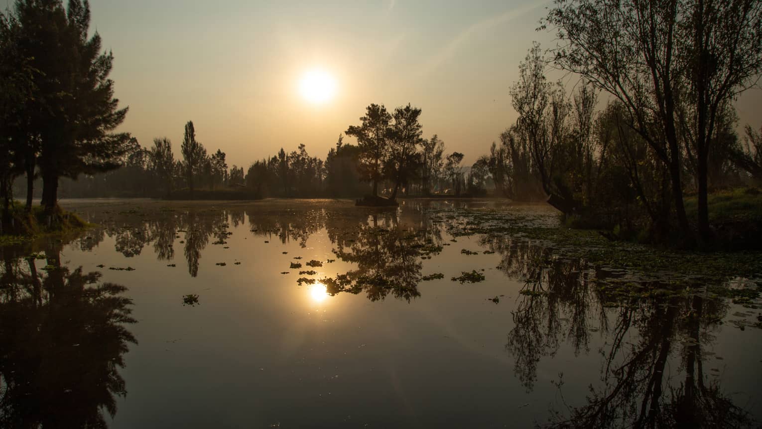 Trees and bushes silhouetted by low-hanging sun and hazy sky, all reflected in, and some emerging from, glassy-smooth water.