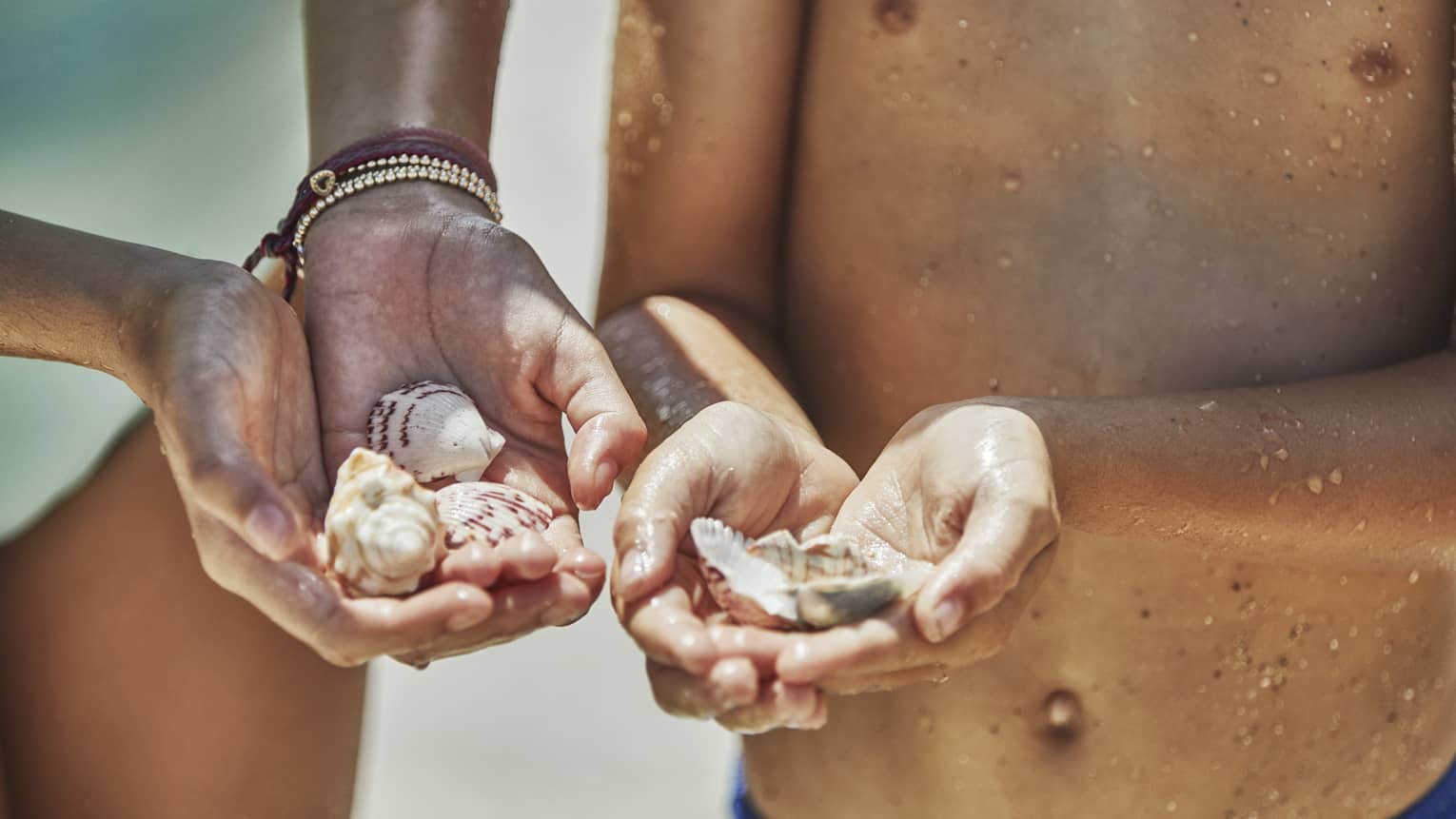 Guests present miniature conch shells and other shells in their hands