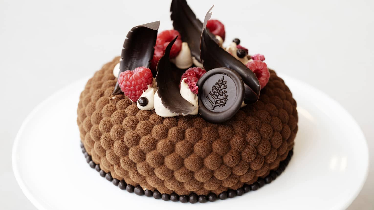 Chocolate cake with chocolate shavings and raspberries on top.