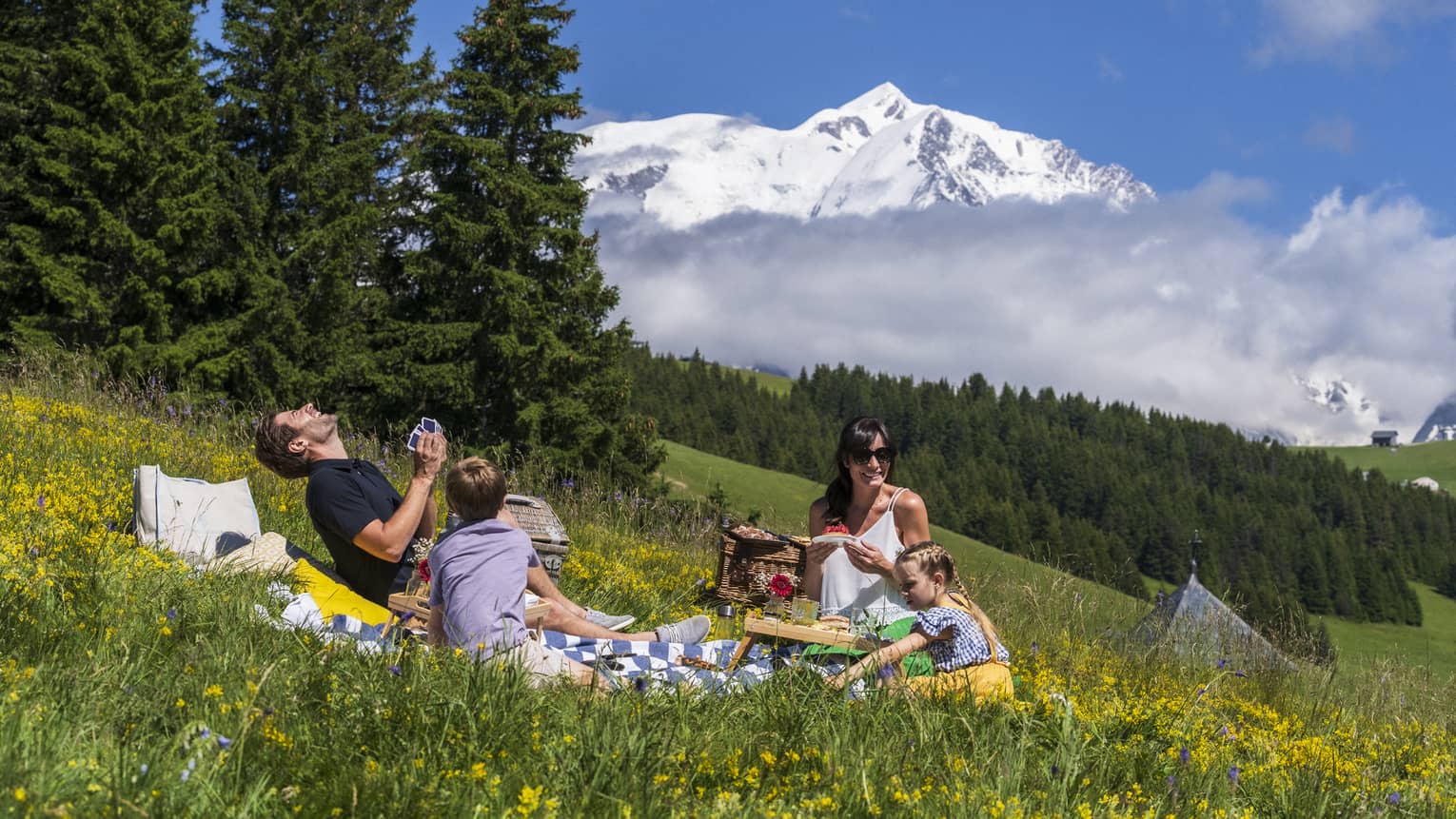Family enjoying a picnic in a meadow among evergreens and snow-capped mountains in the distance