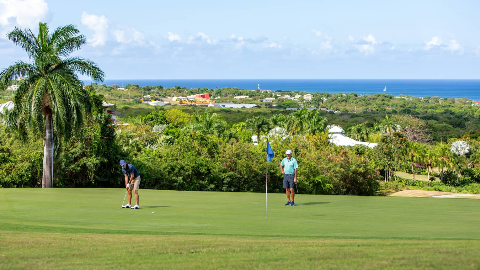 Two people golding on a well groomed golf course surrounded by palm trees.