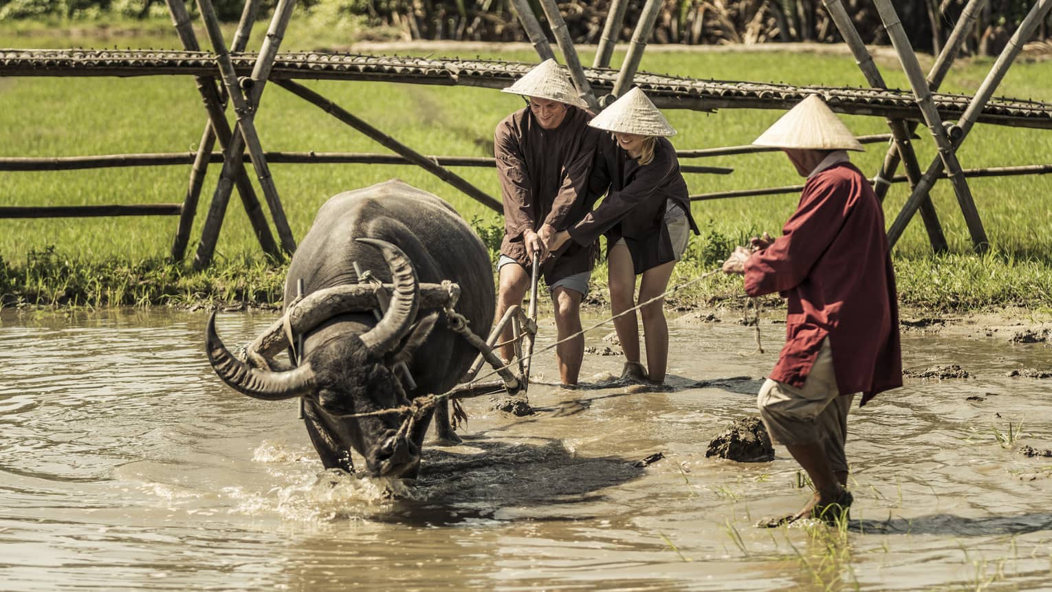 In a flooded field, two people in straw hats guide a water buffalo using a primitive plough, led by a farmer holding a rope.