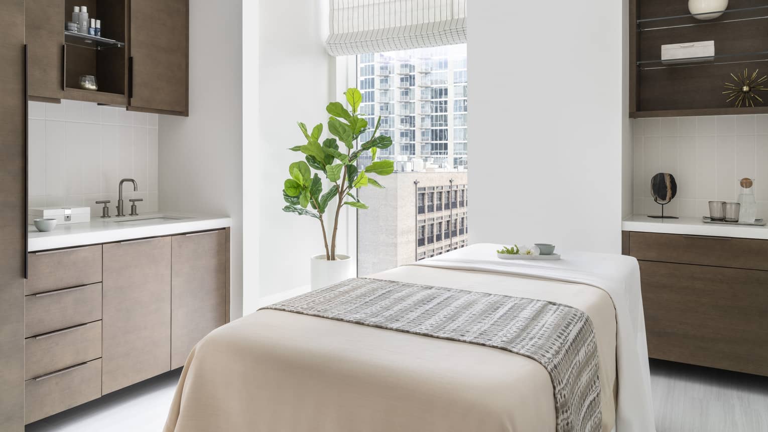 Spa bed with a plant in the corner of the room, cabinets and a sink.