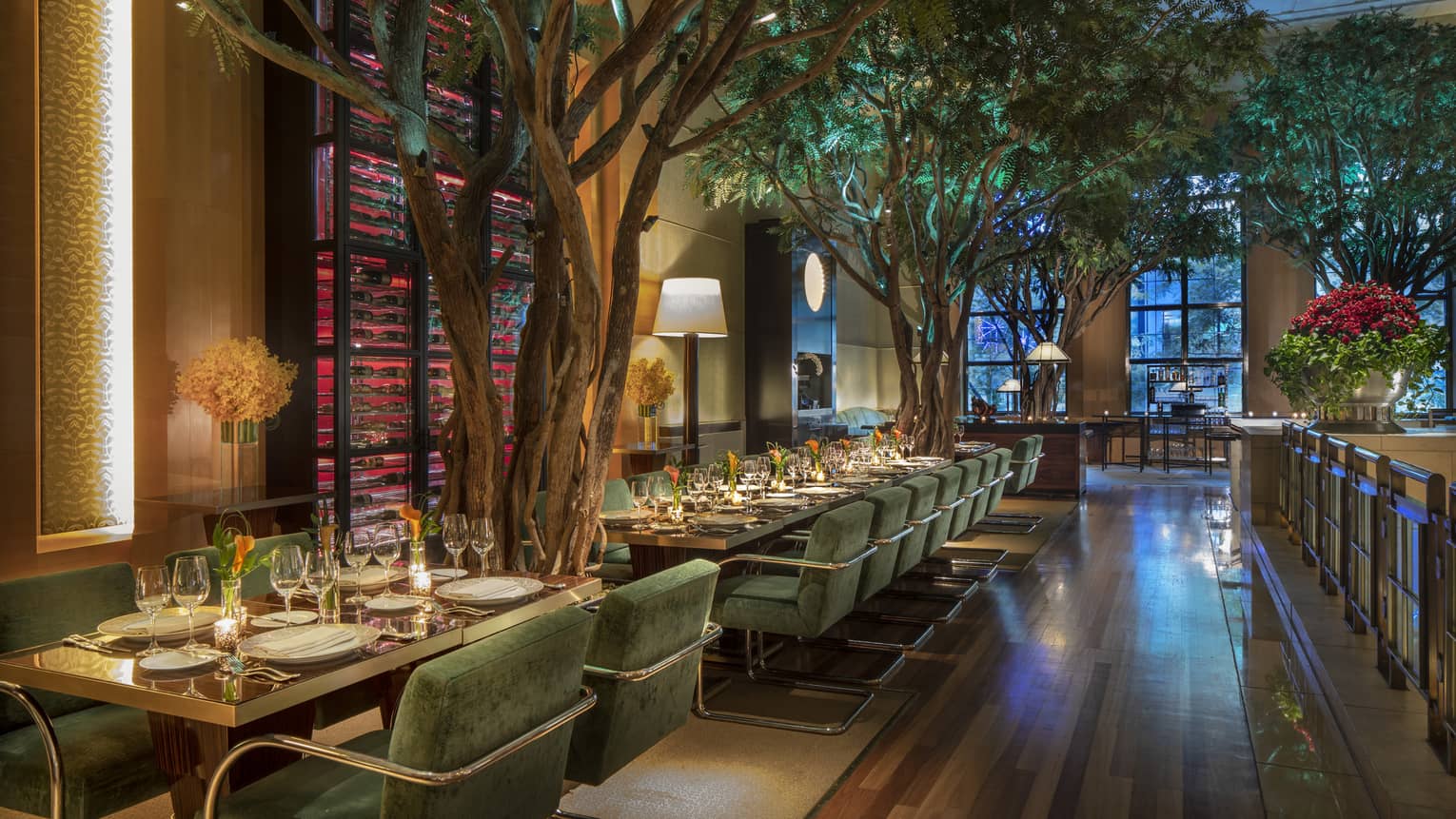 An outdoor terrace at night, with trees looming over tables set with white plates, crystal glasses,silver tableware and modern gold chairs with thick green cushions