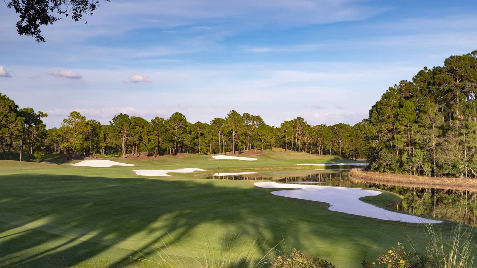 Sprawling green golf course and trees