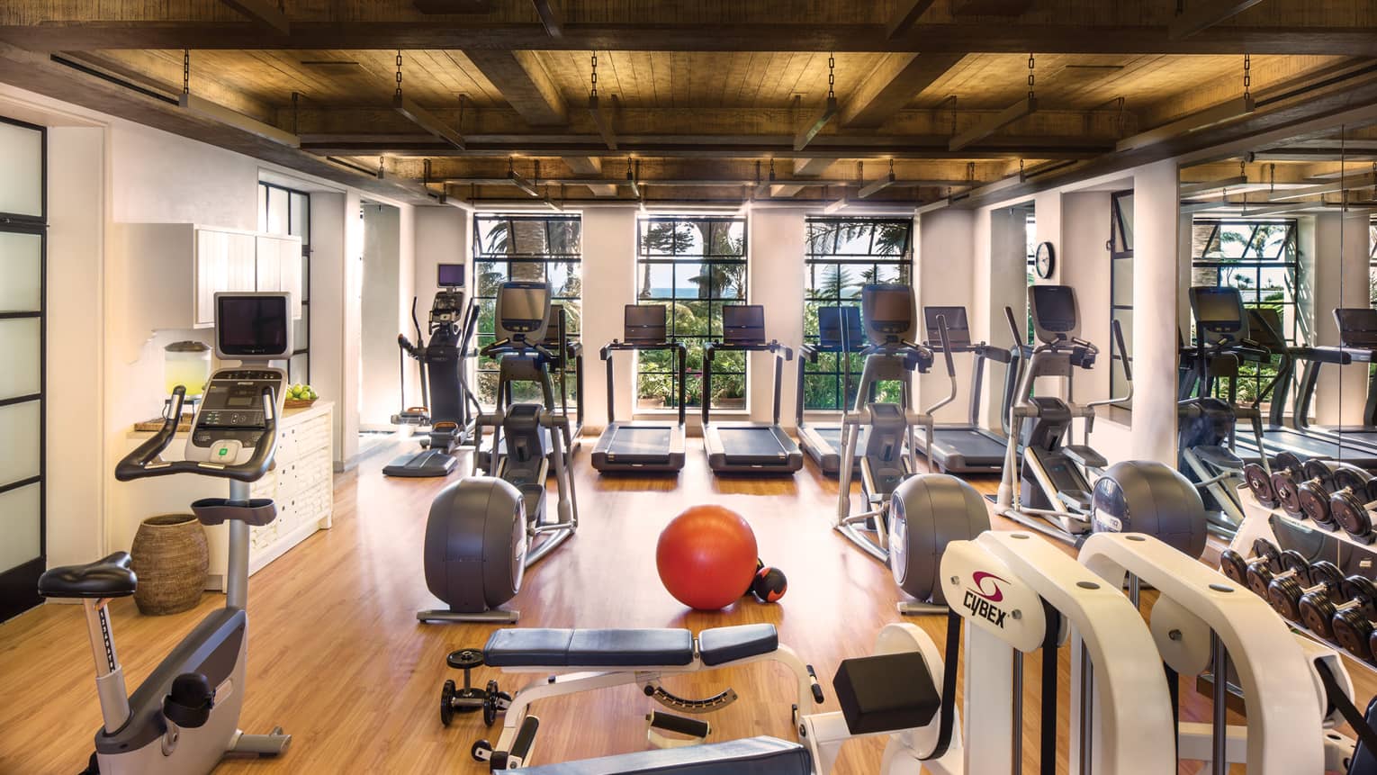 Fitness Centre cardio machines, weight centre, red pilates ball
