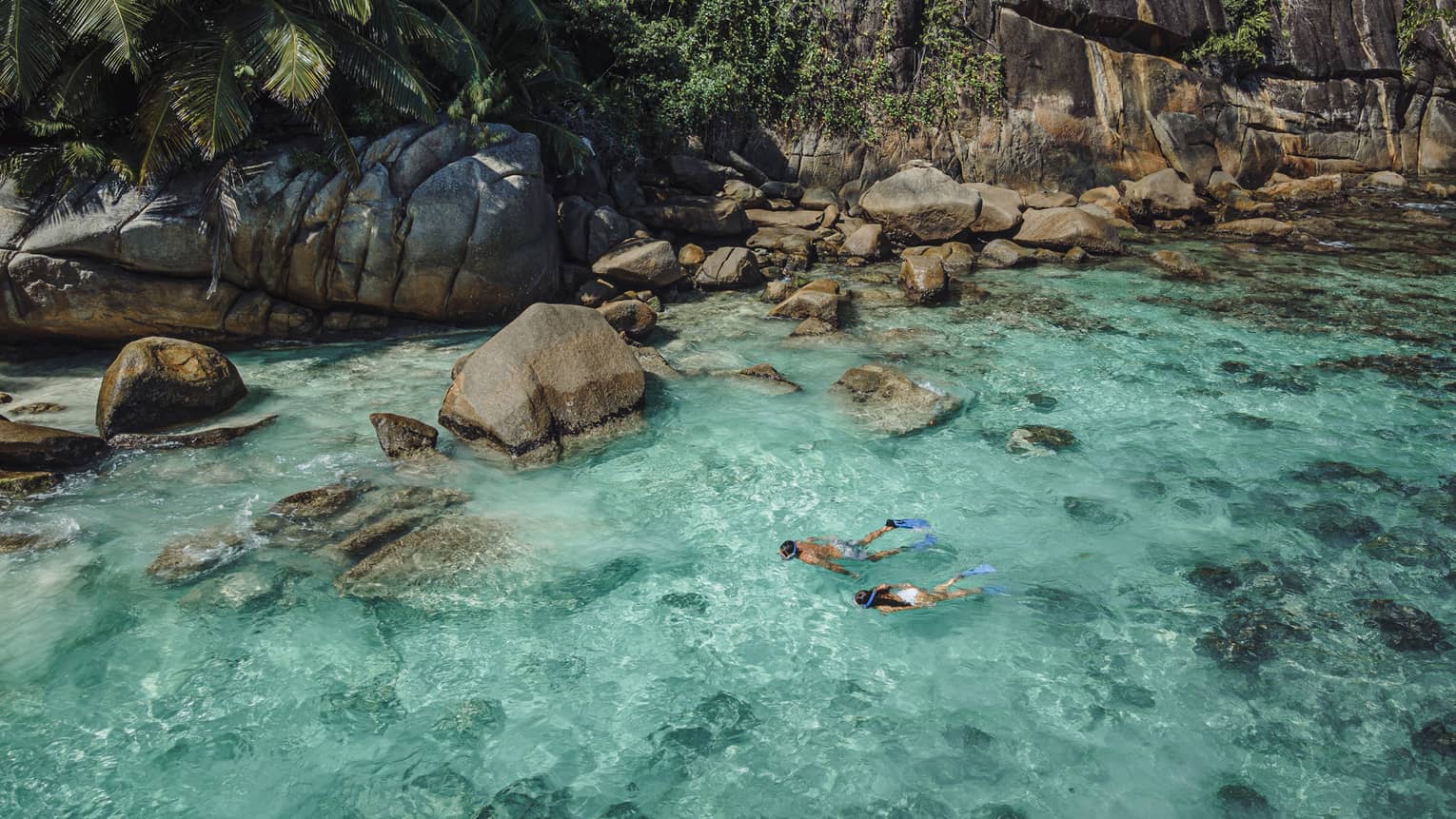 Palm trees over large rocks in turquoise sea along shore on La Digue Island, Seychelles