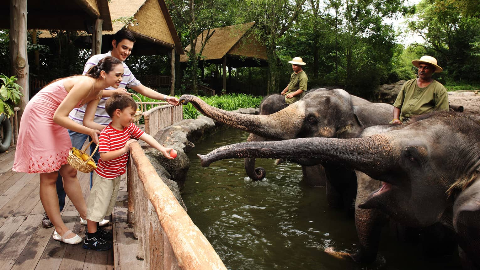 From a bridge, a smiling family feeding fruit to four elephants; two trainers are watching as they each sit upon an elephant.