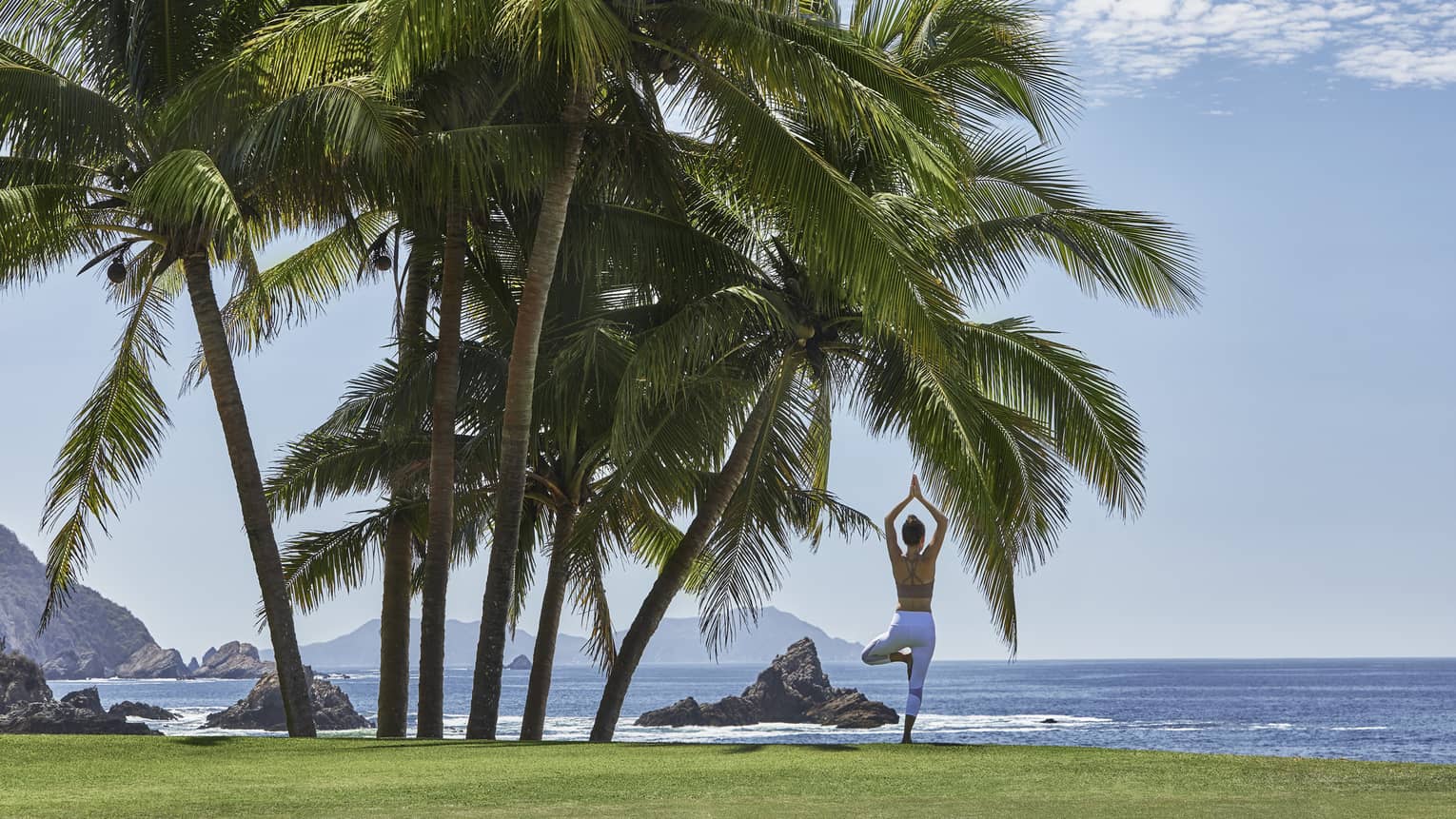 A woman practises yoga under palm trees by the ocean, standing in tree pose with a scenic backdrop of rocky cliffs, calm waters and a clear blue sky.