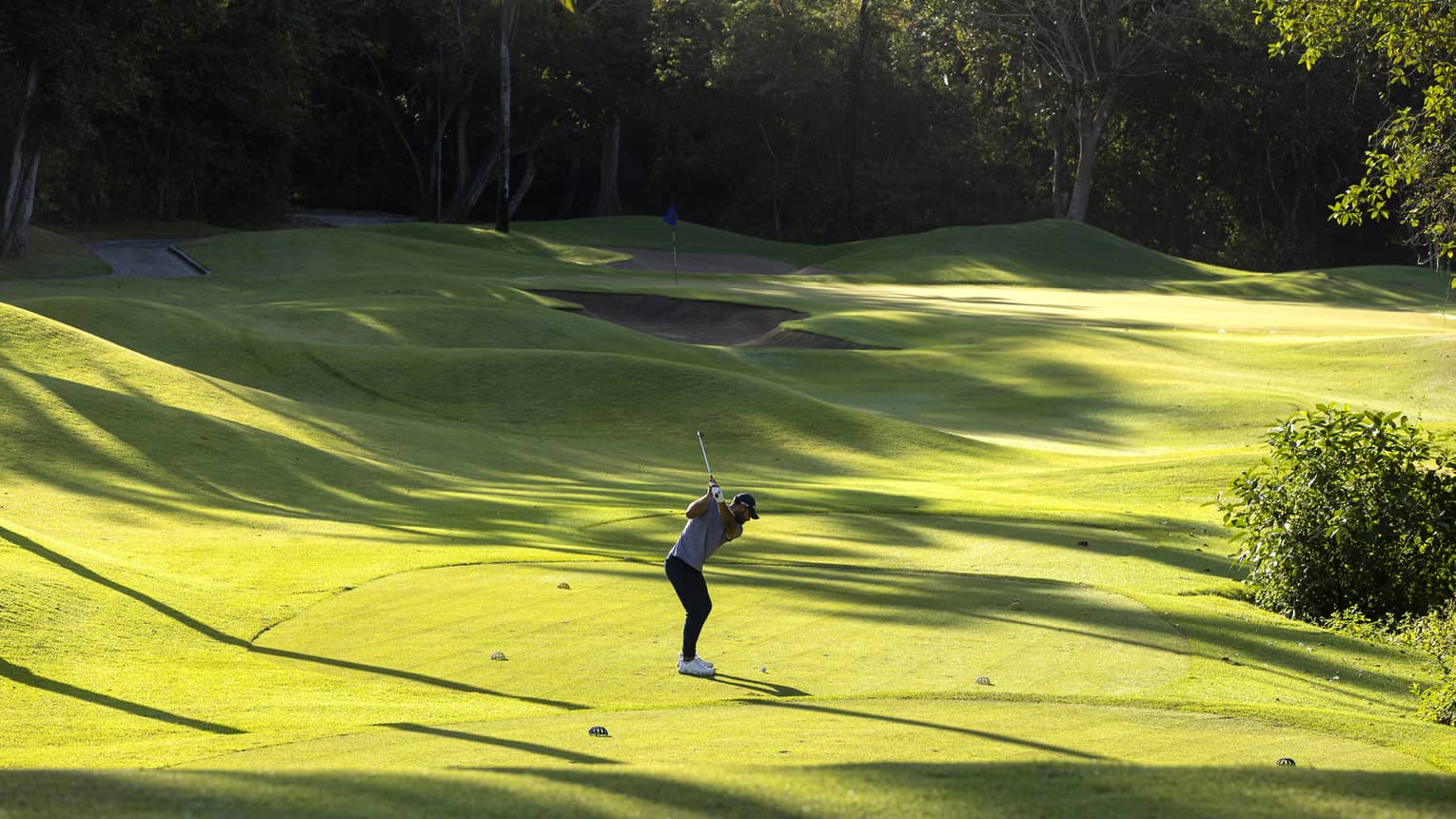 Golfer in mid-backswing on an undulating green prepares to strike a ball over a sandtrap, beneath streaky forest shadows. 