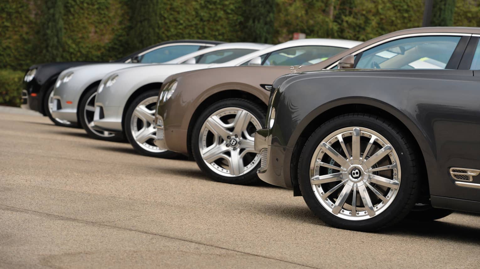 Side view of various luxury sedans lined up on front drive