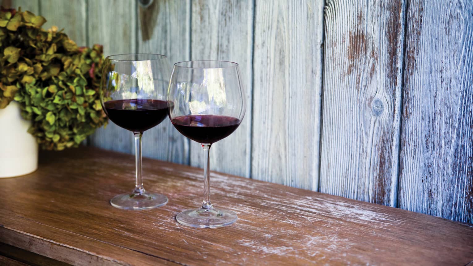 Two glasses of red wine and sit on wooden table, with white vase filled with hydrangeas 
