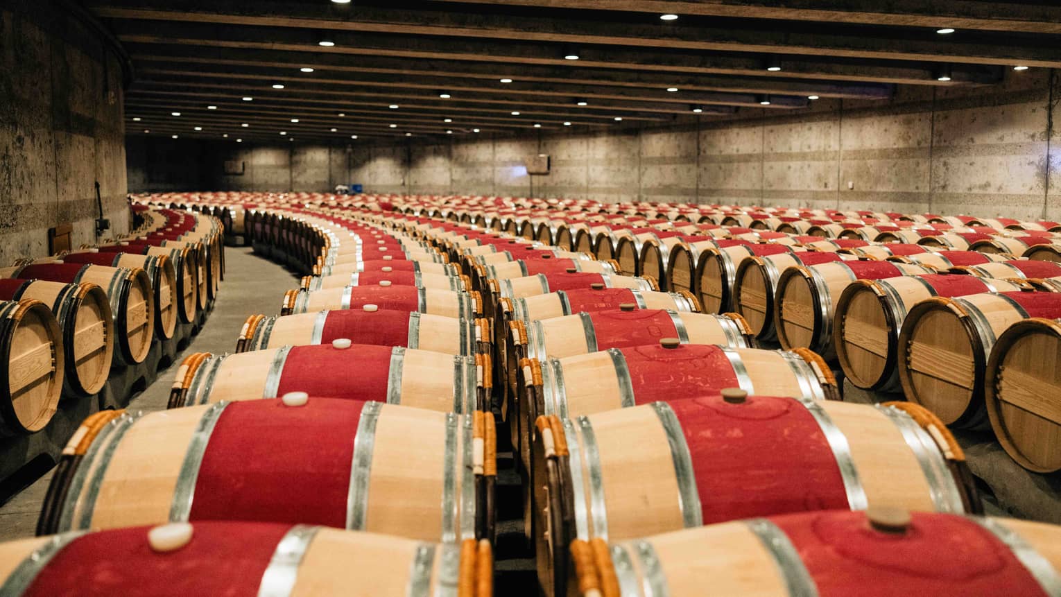 Cellar filled with rows of wine barrels that are all painted red in the middle