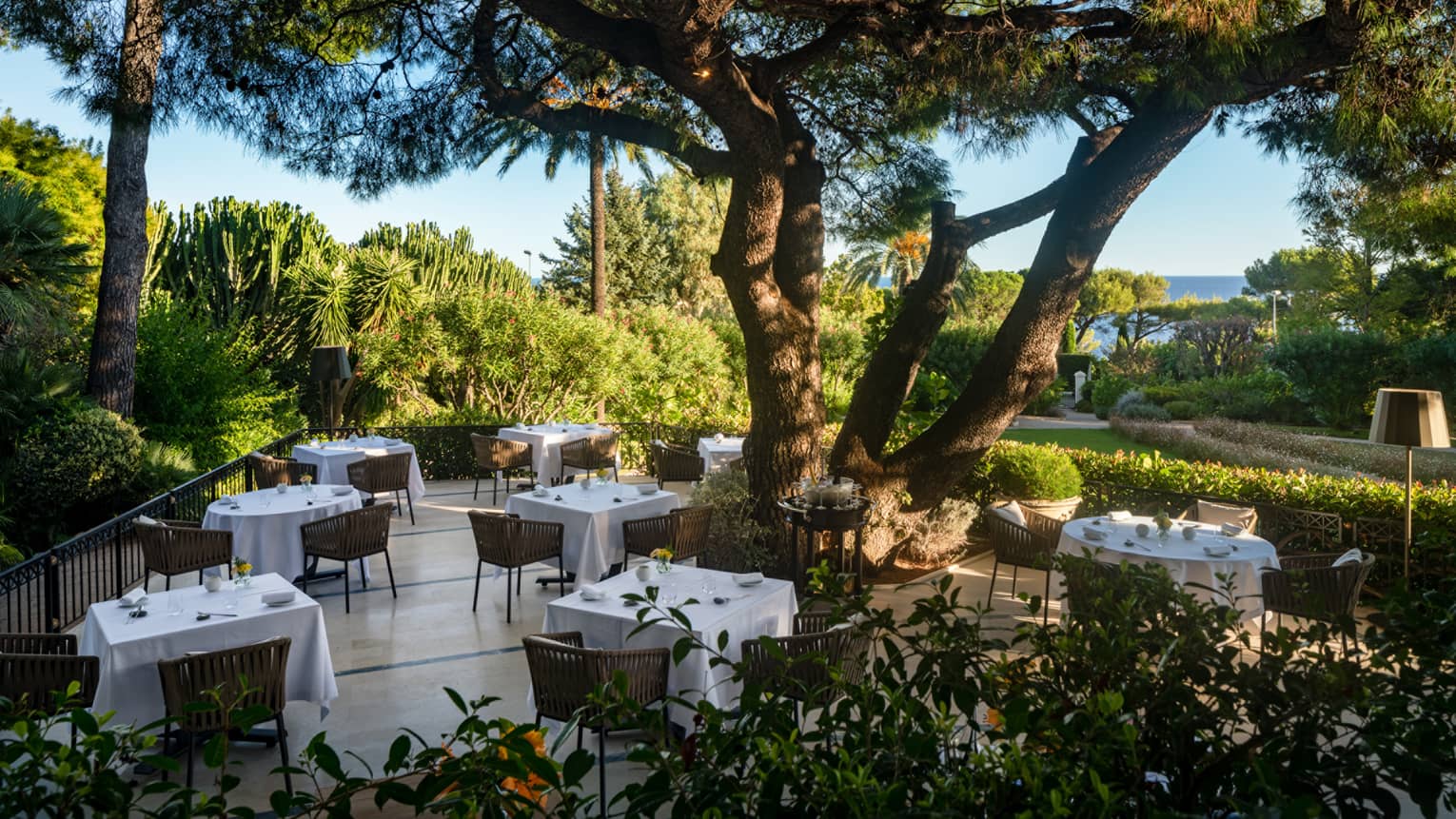 Le Cap restaurant terrace with white square tables, rattan chairs, under large tree