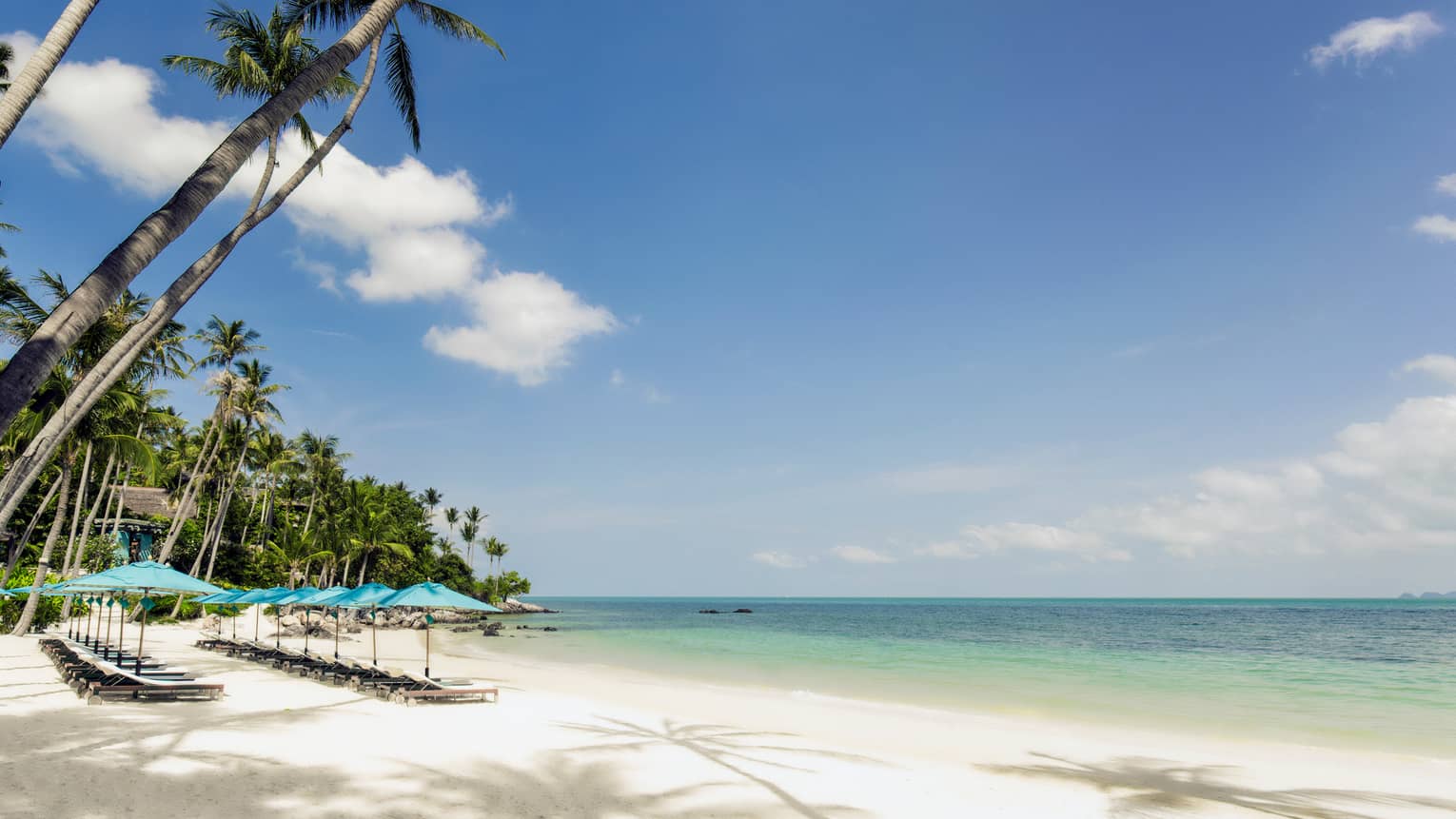 Rows of lounge chairs, beach umbrellas on white sand near ocean