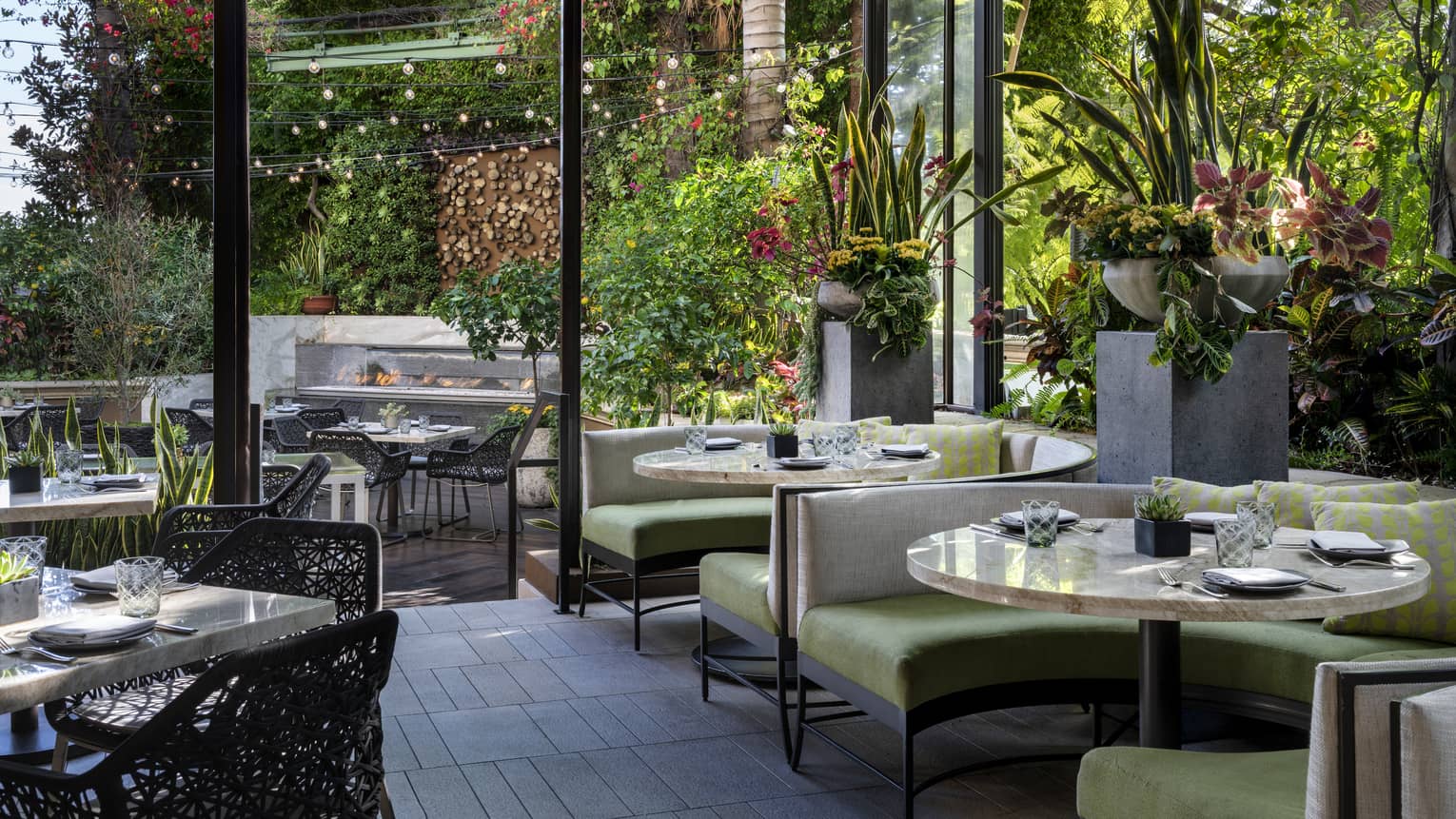 Restaurant seating with green chairs and many plants, with large windows leading to outdoor seating.